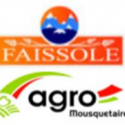 Faissole