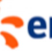 Chef de projet / Project Manager SI Domaine Achat F/H (2025-145707)